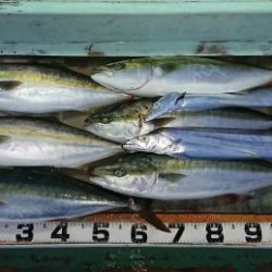 火遠理丸（ほおりまる） 釣果