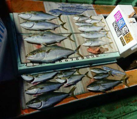 火遠理丸（ほおりまる） 釣果