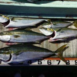 火遠理丸（ほおりまる） 釣果