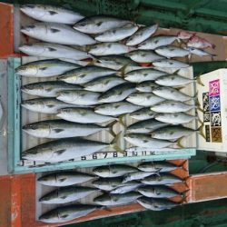 火遠理丸(ほおりまる) 釣果