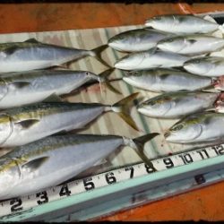 火遠理丸(ほおりまる) 釣果