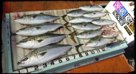 火遠理丸(ほおりまる) 釣果