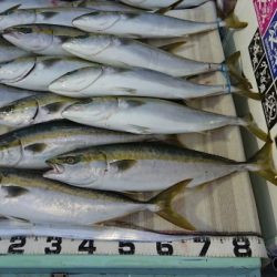 火遠理丸(ほおりまる) 釣果