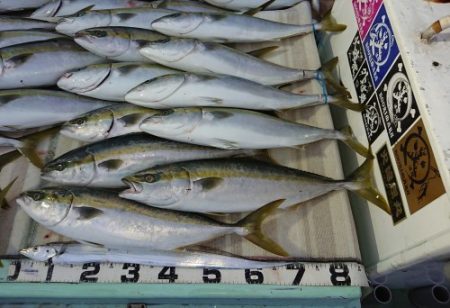 火遠理丸(ほおりまる) 釣果