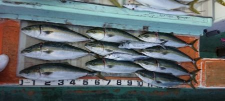 火遠理丸(ほおりまる) 釣果