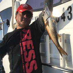 へいみつ丸 釣果