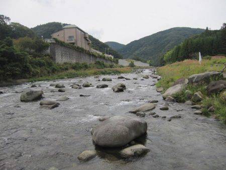 狩野川(狩野川漁業協同組合) 釣果