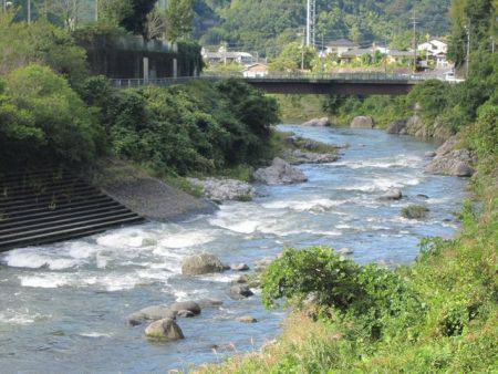 狩野川(狩野川漁業協同組合) 釣果