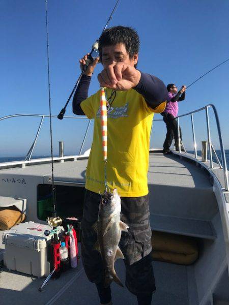 へいみつ丸 釣果