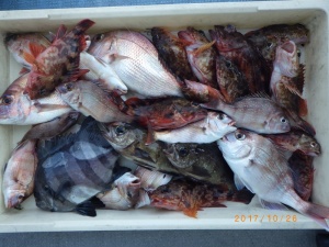 石川丸 釣果