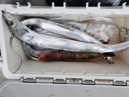 遊漁船　ニライカナイ 釣果