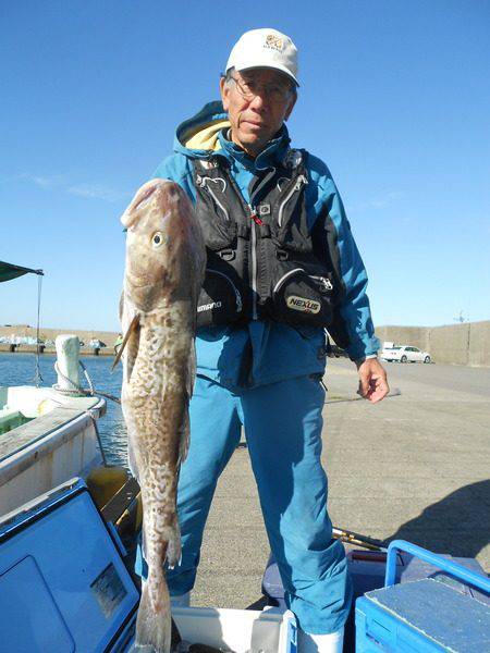 こうゆう丸 釣果