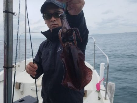 Magic（マジック） 釣果