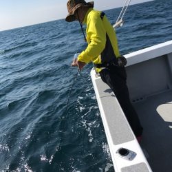 へいみつ丸 釣果