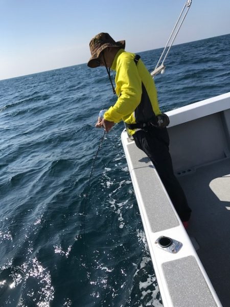 へいみつ丸 釣果