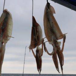 へいみつ丸 釣果