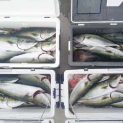 気仙沼 つり丸 釣果