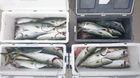 気仙沼 つり丸 釣果