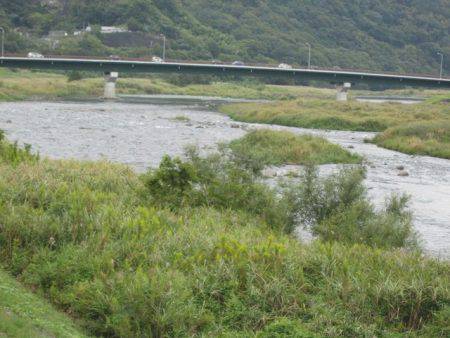 狩野川(狩野川漁業協同組合) 釣果
