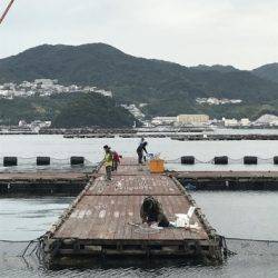 淡路じゃのひれフィッシングパーク 釣果
