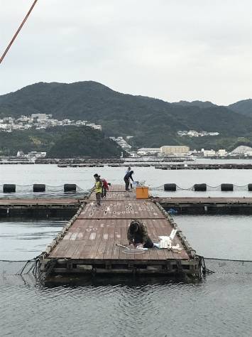 淡路じゃのひれフィッシングパーク 釣果