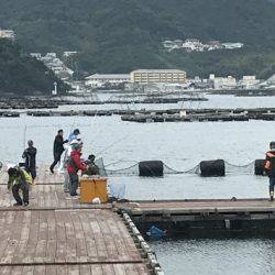 淡路じゃのひれフィッシングパーク 釣果