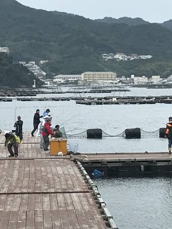 淡路じゃのひれフィッシングパーク 釣果