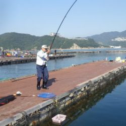 淡路じゃのひれフィッシングパーク 釣果