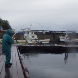 淡路じゃのひれフィッシングパーク 釣果