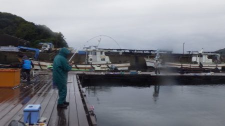 淡路じゃのひれフィッシングパーク 釣果