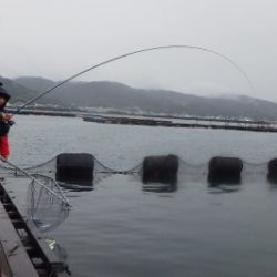 淡路じゃのひれフィッシングパーク 釣果