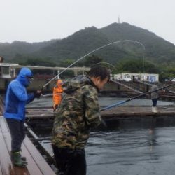 淡路じゃのひれフィッシングパーク 釣果