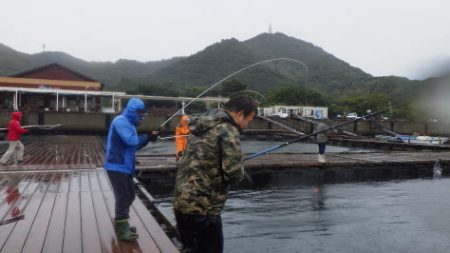 淡路じゃのひれフィッシングパーク 釣果