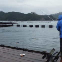 淡路じゃのひれフィッシングパーク 釣果