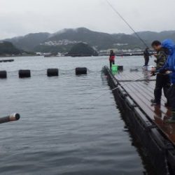 淡路じゃのひれフィッシングパーク 釣果