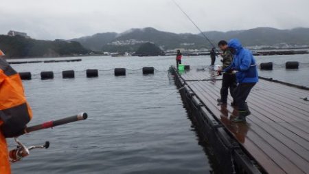 淡路じゃのひれフィッシングパーク 釣果