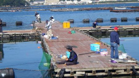 淡路じゃのひれフィッシングパーク 釣果