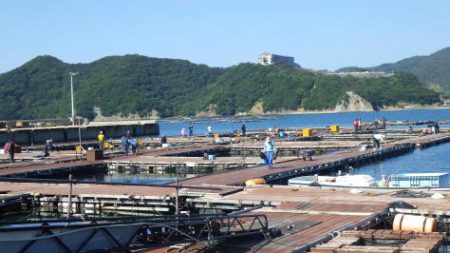 淡路じゃのひれフィッシングパーク 釣果