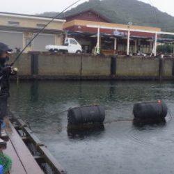 淡路じゃのひれフィッシングパーク 釣果