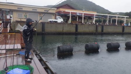 淡路じゃのひれフィッシングパーク 釣果