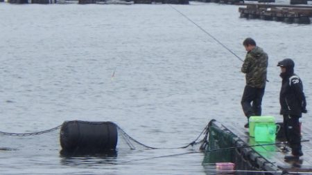 淡路じゃのひれフィッシングパーク 釣果