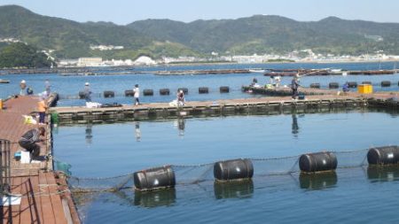 淡路じゃのひれフィッシングパーク 釣果