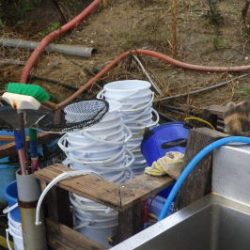 淡路じゃのひれフィッシングパーク 釣果