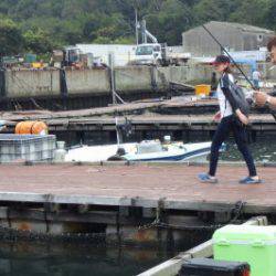 淡路じゃのひれフィッシングパーク 釣果