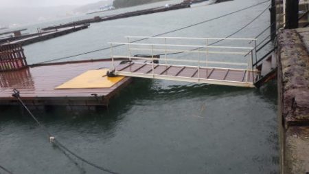 淡路じゃのひれフィッシングパーク 釣果