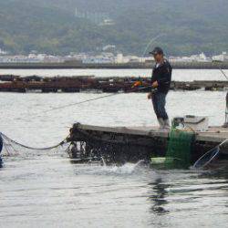 淡路じゃのひれフィッシングパーク 釣果