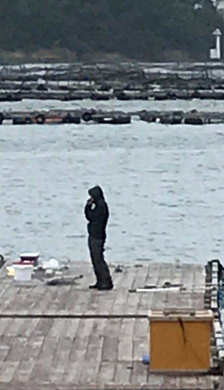 淡路じゃのひれフィッシングパーク 釣果