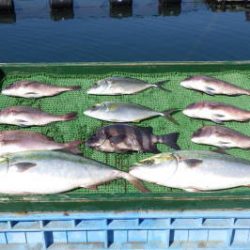 淡路じゃのひれフィッシングパーク 釣果