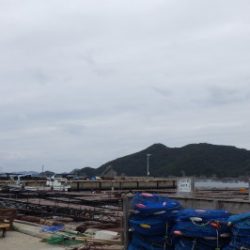 淡路じゃのひれフィッシングパーク 釣果