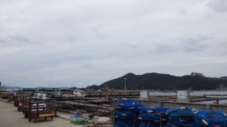 淡路じゃのひれフィッシングパーク 釣果